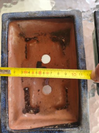 Macetas de cerámica para bonsái
