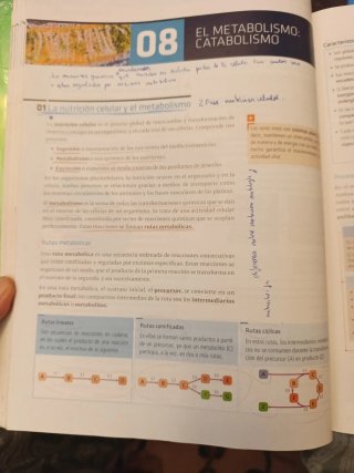 Biología, ciencias, Bachillerato 2 Teoría
