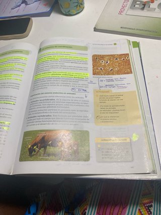 Biología y geología 1 ESO : [Comunidad de Madrid]