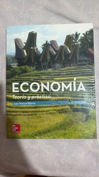 Economía teoría y práctica