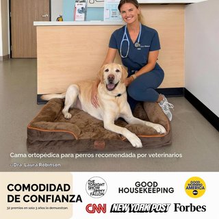 Cama Ortopédica para Perro Bedsure XL