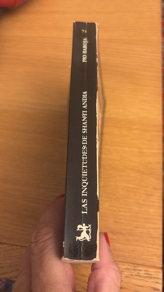 Las inquietudes de Shanti Andía