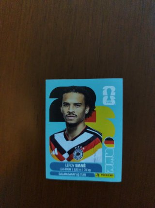 Cromo Panini mundial