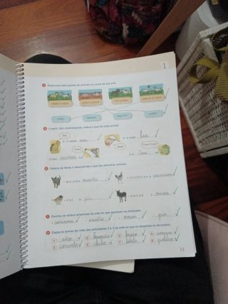 Lingua, 5 Primaria Caderno