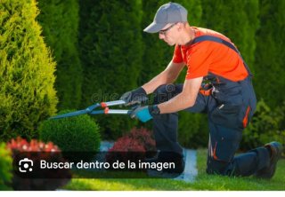 Jardinero profesional