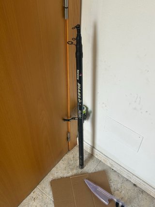 Caña de Pescar Boomerang Diablo con Carrete