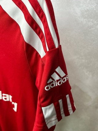 Camiseta Munster Rugby Adida