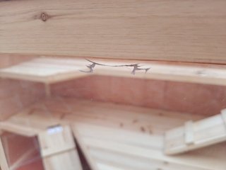 Jaula para Cobayas de Madera