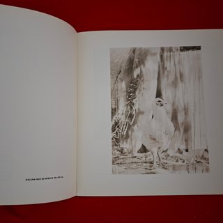 Catálogo Fotografía Carlos Canet CAM 1991