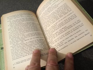 Y al tercer año resucitó. Novela de historia-fi...