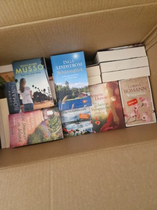 Novelas en alemán