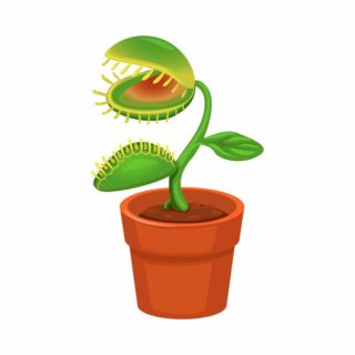 Pack Plantas Carnívoras para Teseo M.
