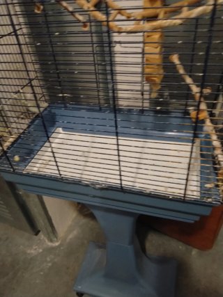 Jaula para pájaros (recoger en la zona indicada)