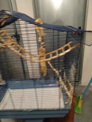 Jaula para pájaros (recoger en la zona indicada)