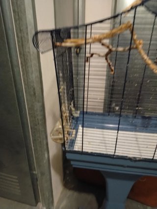 Jaula para pájaros (recoger en la zona indicada)