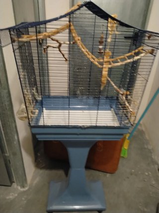 Jaula para pájaros (recoger en la zona indicada)