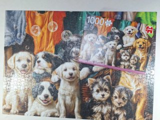 Puzzles 1000 Piezas Jumbo