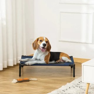 Cama perro azul