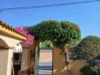 Jardinero mantenimiento y limpieza de parcelas