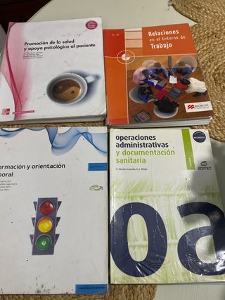 PROMOCION DE LA SALUD Y APOYO PSICOLOGICO AL PA...
