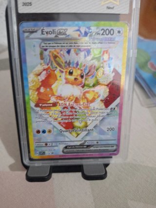 Carta Pokémon Evoli EX FA Promo 174