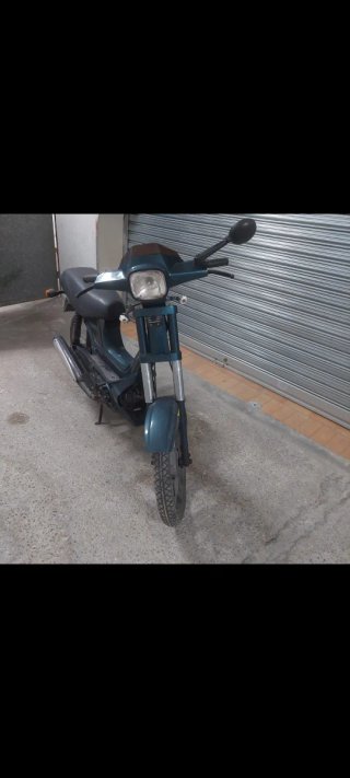 Derbi Variant Verde