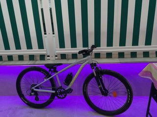 Bicicleta niño nueve 10 años