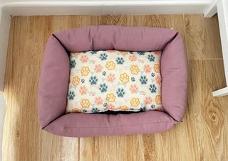 Cama para Perro Welova