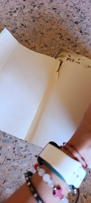 Las aventuras de Don Quijote de la Mancha