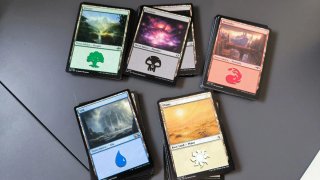 100 Tierras Básicas Magic: The Gathering (MTG)