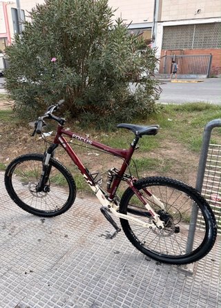 Bicicleta Focus Super Bud
