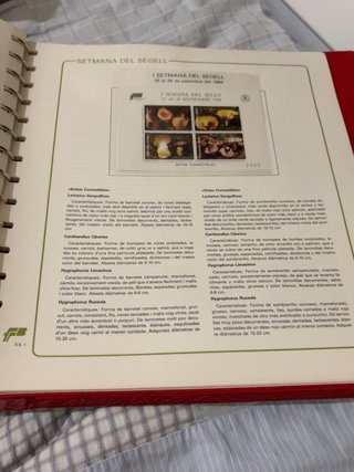 HISTÒRIA DE CATALUNYA Sellos · 50pag GFB 1979–1986
