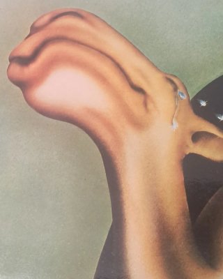 Vinilo LP Camel - Camel 1ª Ed. Española NM o M-