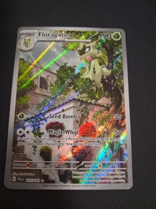 Cartas Pokémon
