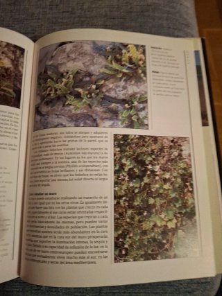 Botánica guía práctica para el aficionado