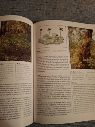 Botánica guía práctica para el aficionado