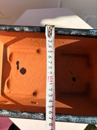Maceta de Cerámica para Bonsái Azul
