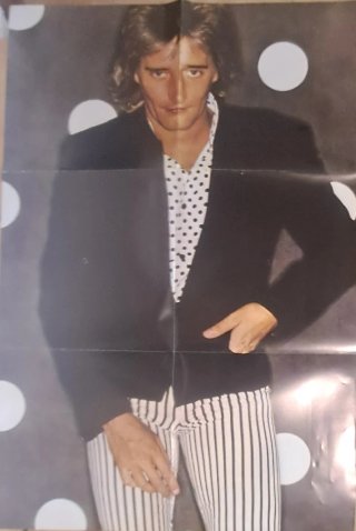 Vinilo LP Rod Stewart - Foolish Behaviour