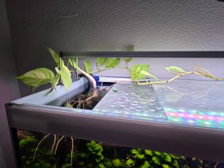 Acuario Completo 240 Litros