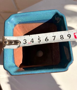 Maceta de Cerámica para Bonsái