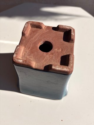 Maceta de Cerámica para Bonsái