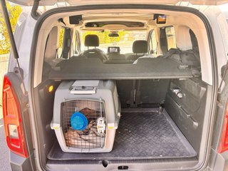 Citroen Berlingo 2022