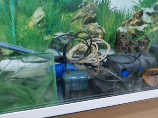 Acuario completo de 100 litros, listo para montar