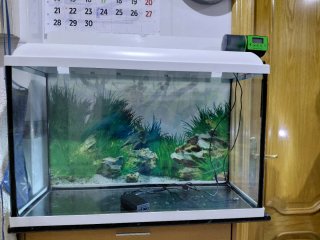 Acuario completo de 100 litros, listo para montar