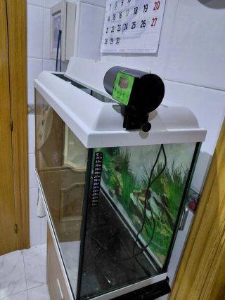 Acuario completo de 100 litros, listo para montar