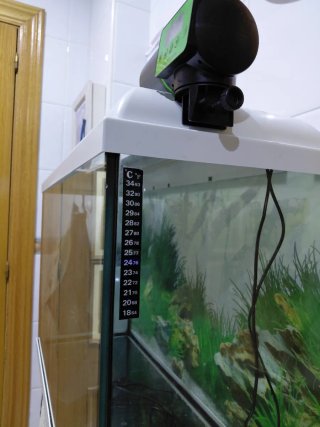 Acuario completo de 100 litros, listo para montar