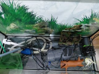 Acuario completo de 100 litros, listo para montar
