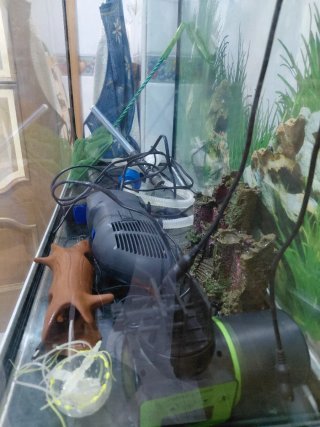 Acuario completo de 100 litros, listo para montar