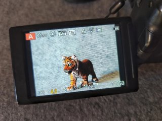 Panasonic Lumix FZ200 + Funda + SD - Funciona OK