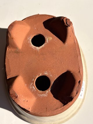 Maceta Ovalada para Bonsái